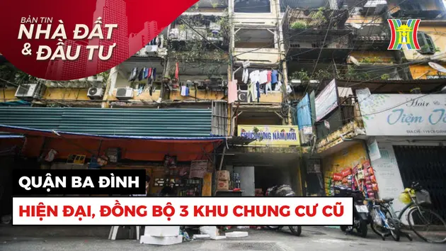 Bản tin Nhà đất và đầu tư | 11/03/2025