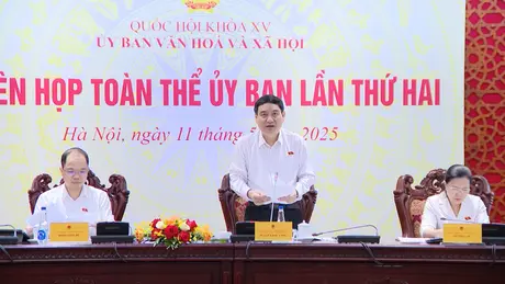 Ủy ban Văn hóa và Xã hội họp phiên toàn thể lần thứ hai