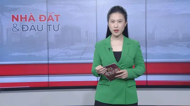 Bản tin Nhà đất và đầu tư | 11/06/2025