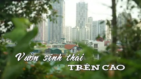 Vườn sinh thái trên cao | Nhịp sống Hà Nội | 11/06/2025