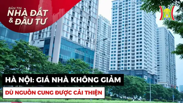 Bản tin Nhà đất và Đầu tư | 11/10/2024