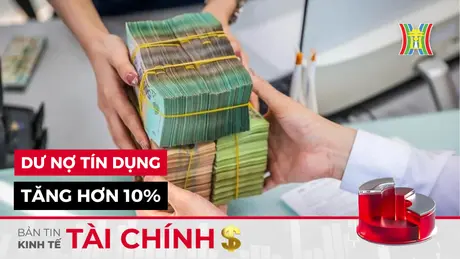 Bản tin Kinh tế Tài chính | 11/11/2024