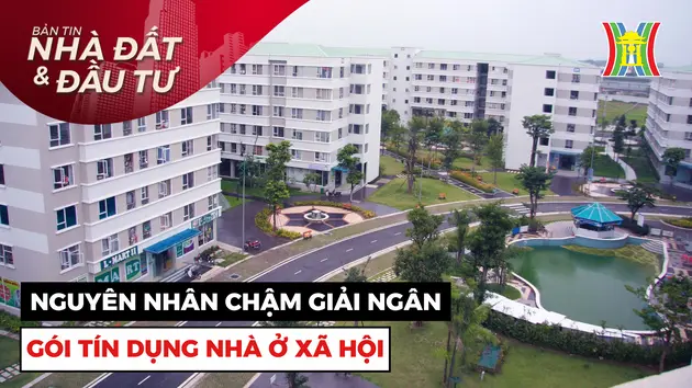 Bản tin Nhà đất và đầu tư | 11/11/2024