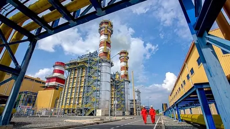 Cổ phiếu AFX xuống thấp, lãnh đạo liên tục mua gom
