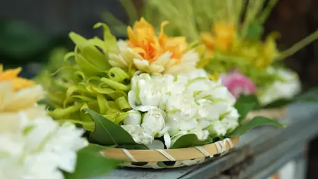Hoa đĩa ngày rằm