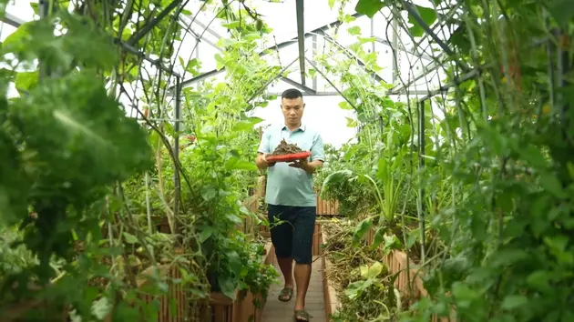 Vườn sinh thái trên cao