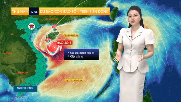 Dự báo thời tiết trưa | 12/06/2025