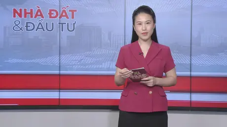 Bản tin Nhà đất và đầu tư | 12/06/2025