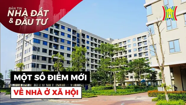 Bản tin Nhà đất và đầu tư | 12/08/2024