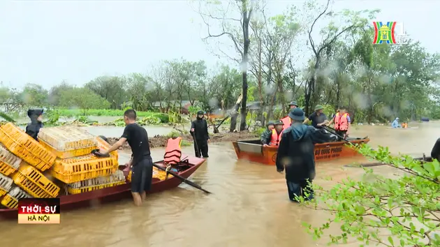 Đài Hà Nội