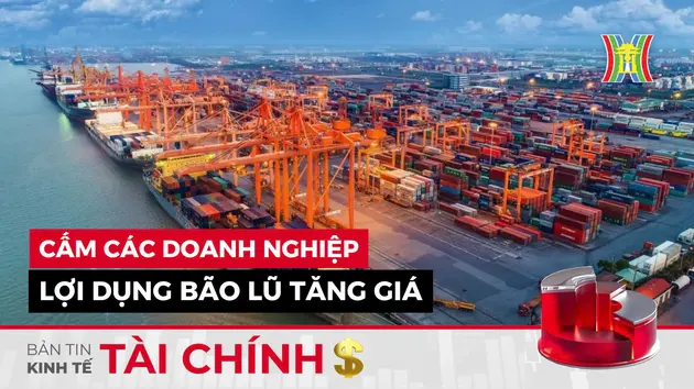 Bản tin Kinh tế Tài chính | 12/09/2024