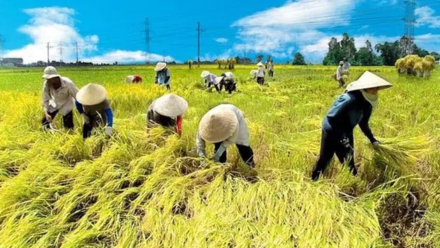 Đài Hà Nội