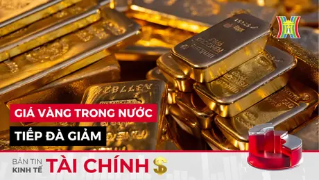 Bản tin Kinh tế Tài chính | 12/11/2024