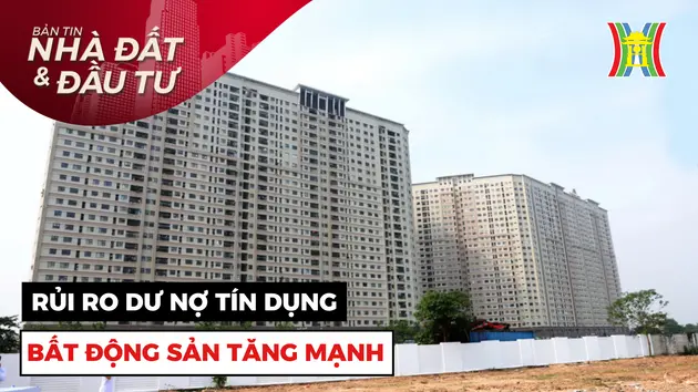 Bản tin Nhà đất và đầu tư | 12/11/2024