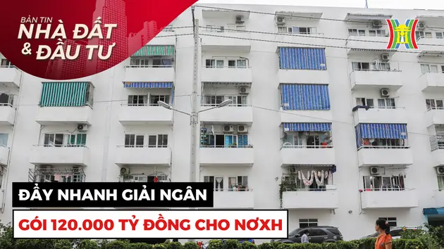 Bản tin Nhà đất và đầu tư | 12/12/2024