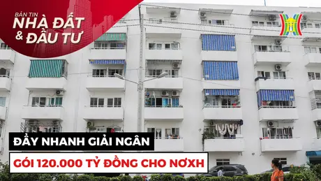 Bản tin Nhà đất và đầu tư | 12/12/2024