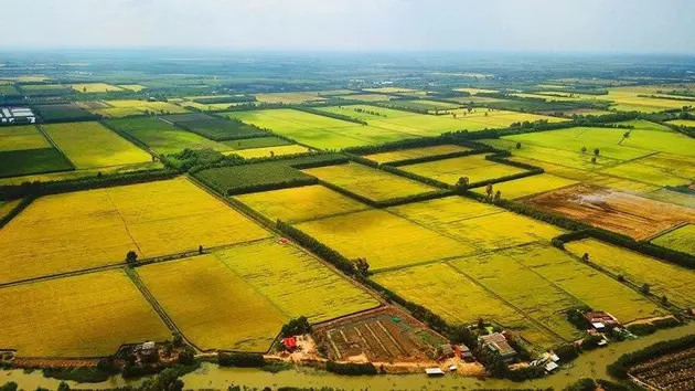 Đề nghị không miễn thuế đất nông nghiệp để hoang hóa