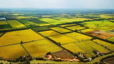Đề nghị không miễn thuế đất nông nghiệp để hoang hóa