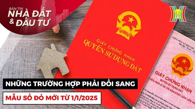 Bản tin Nhà đất và đầu tư | 13/10/2024