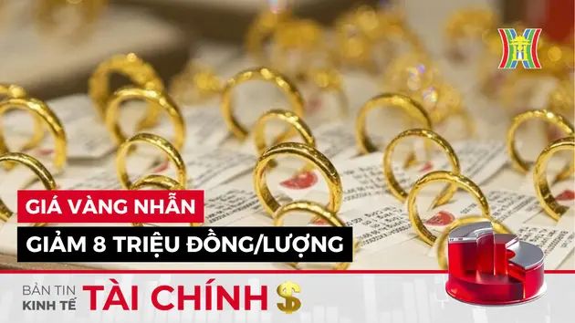 Bản tin Kinh tế Tài chính | 13/11/2024