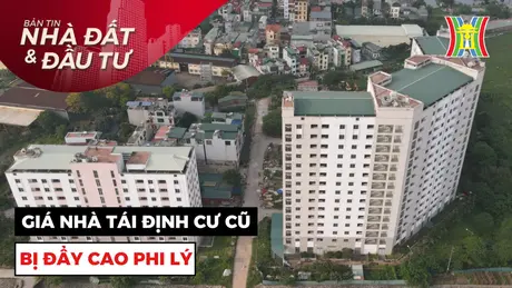 Bản tin Nhà đất và đầu tư | 13/11/2024