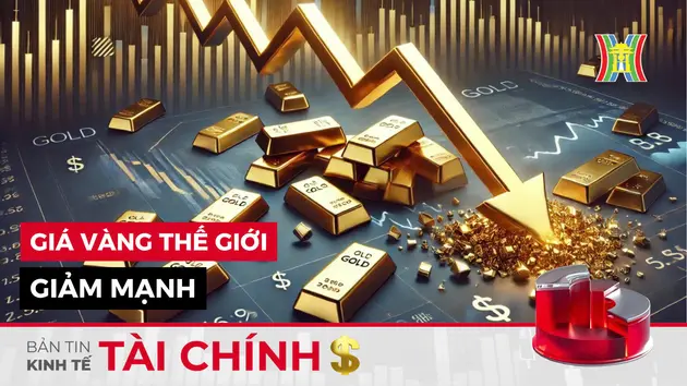 Bản tin Kinh tế Tài chính | 14/01/2025