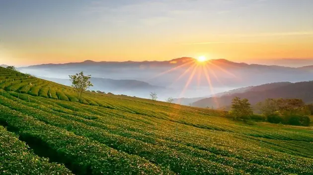 Đề nghị không miễn thuế đất nông nghiệp để hoang hóa
