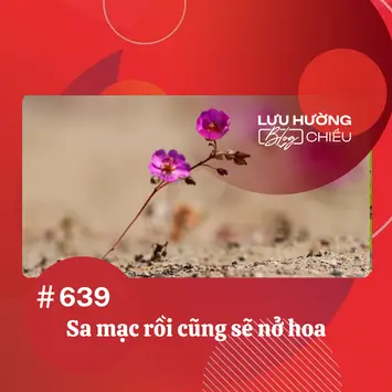 Sa mạc rồi cũng sẽ nở hoa