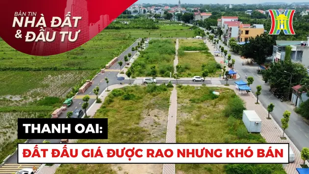 Bản tin Nhà đất và đầu tư | 14/08/2024