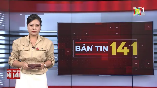 Bản tin 141 | 15/08/2024