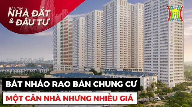 Bản tin Nhà đất và đầu tư | 15/09/2024