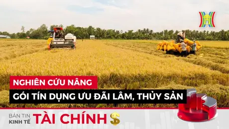 Bản tin Kinh tế Tài chính | 15/09/2024