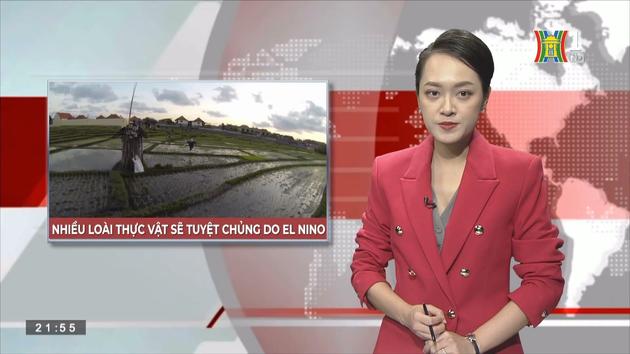 Nhiều loài thực vật sẽ tuyệt chủng do El Nino| Nhìn ra Thế giới| 15/10/2023