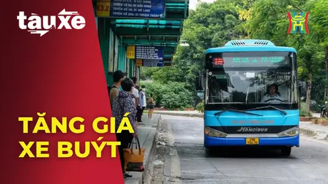 Tăng giá xe buýt tác động thế nào tới người dân? | Bản tin Tàu và Xe | 15/10/2024