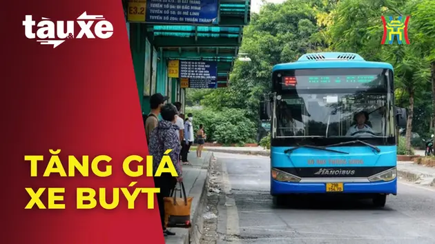 Tăng giá xe buýt tác động thế nào tới người dân? | Bản tin Tàu và Xe | 15/10/2024