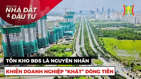 Bản tin Nhà đất và đầu tư | 15/11/2024