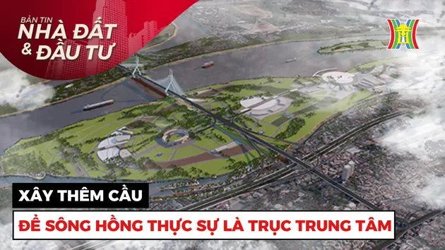 Bản tin Nhà đất và đầu tư | 15/12/2024