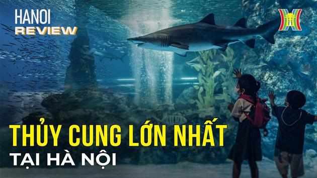 Khám phá thuỷ cung trong nhà lớn nhất tại Hà Nội | Hà Nội Reviews | 16/02/2024