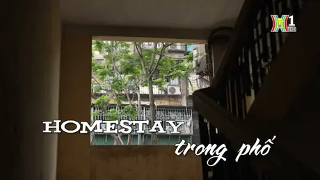 Homestay trong phố | Nhịp sống Hà Nội| 16/04/2024