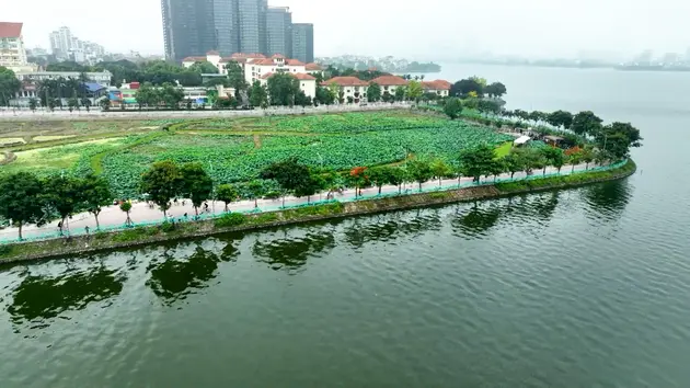 Buổi sáng mùa hạ ở hồ Tây