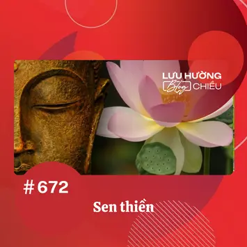 Sen thiền