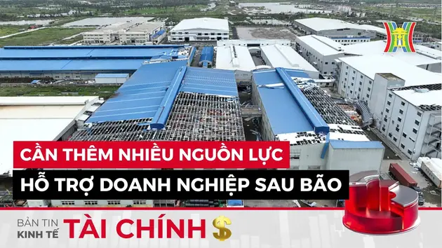 Bản tin Kinh tế Tài chính | 16/10/2024