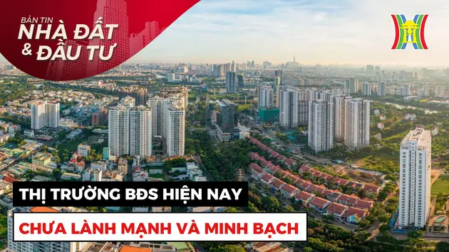 Bản tin Nhà đất và đầu tư | 16/11/2024