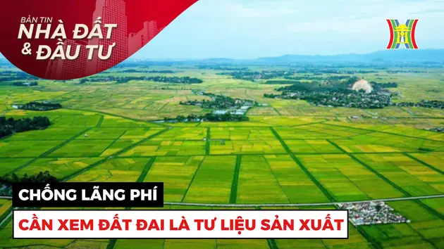 Bản tin Nhà đất và đầu tư | 16/12/2024