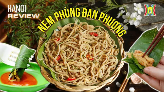 Hương vị làng quê sau lớp lá nem Phùng | HANOI Review | 16/12/2024