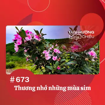 Thương nhớ những mùa sim