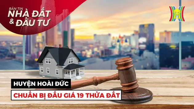 Bản tin Nhà đất và đầu tư | 17/08/2024