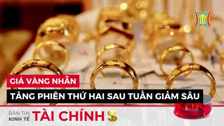 Bản tin Kinh tế Tài chính | 17/11/2024