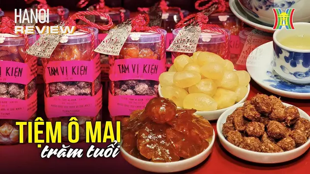 Bí mật đằng sau hương vị của ô mai trăm tuổi | HANOI Review | 18/01/2025