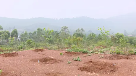 Suy thoái đất đang ở mức báo động